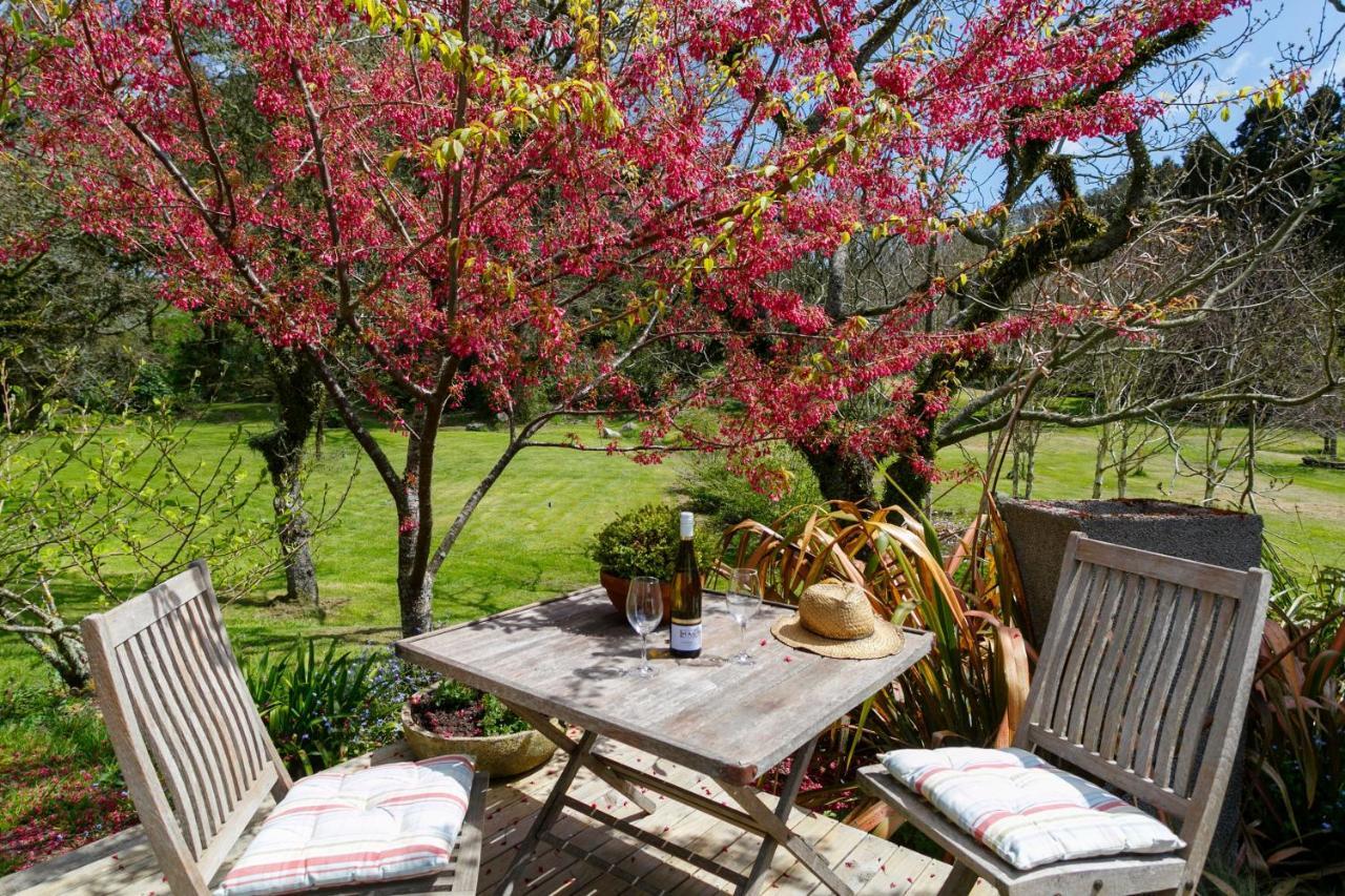 Hare'S Rest Villa Taupo Eksteriør billede