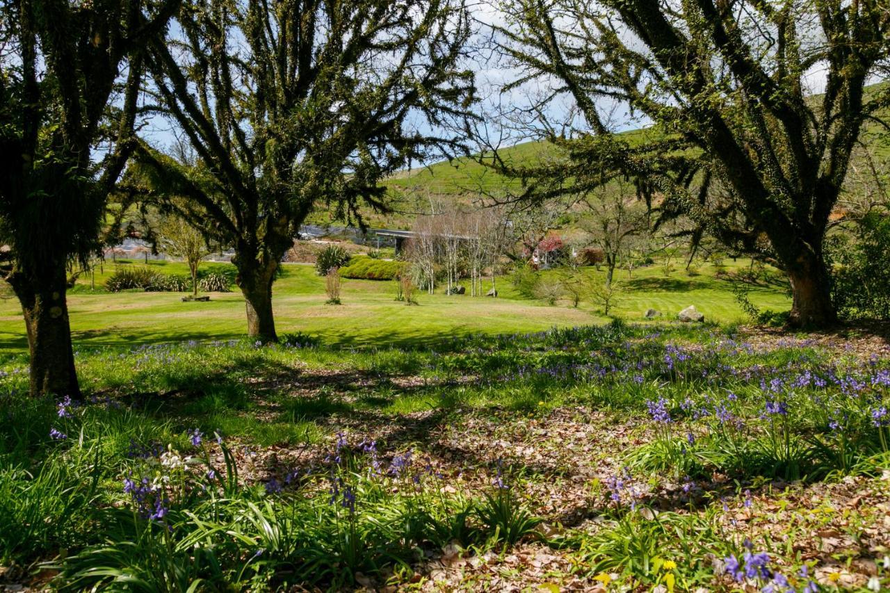 Hare'S Rest Villa Taupo Eksteriør billede